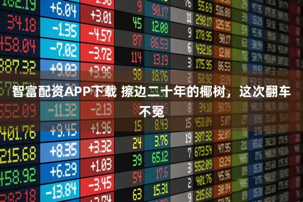 智富配资APP下载 擦边二十年的椰树，这次翻车不冤